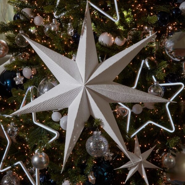 Two Hanging Paper Stars - Large
