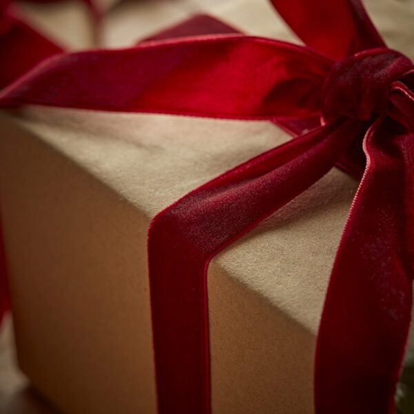 Velvet Ribbon - Berry Red