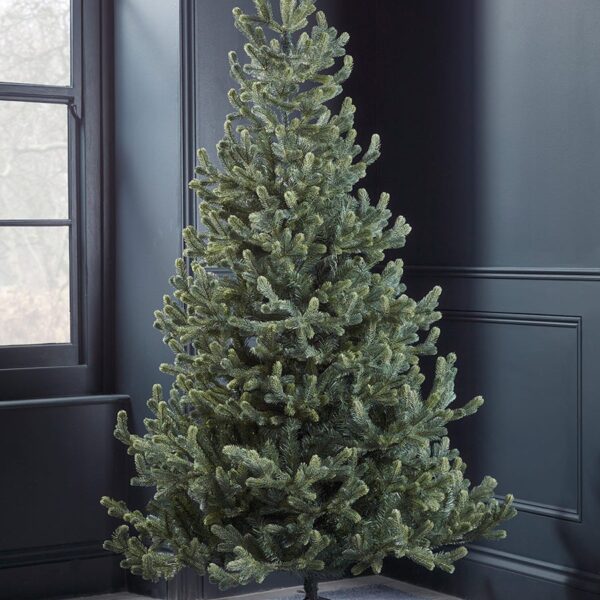 Young Pine Christmas Tree - 6ft