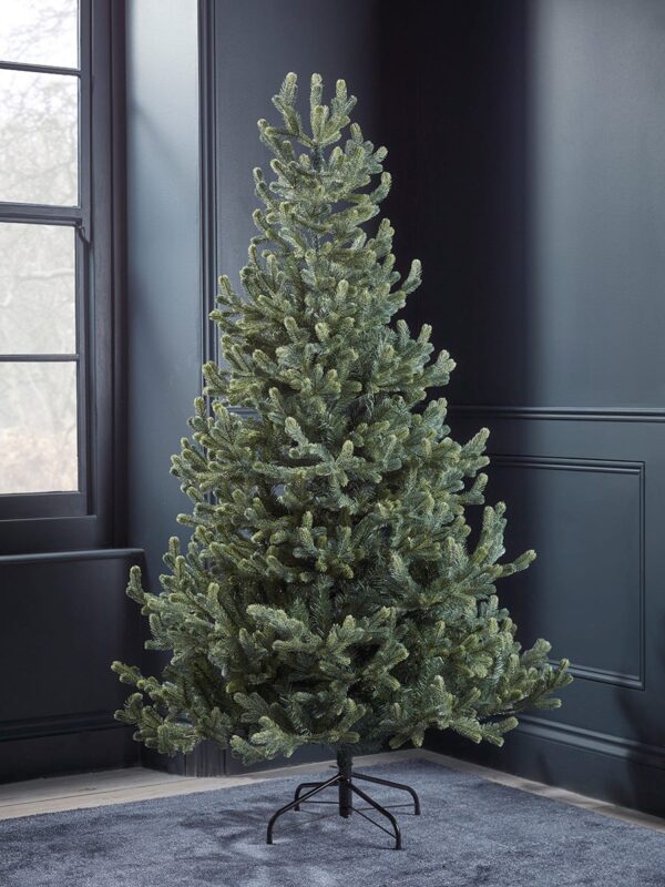Young pine christmas tree - 6ft
