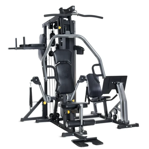 Affordable Horizon Fitness Torus 5 Multi-Gym