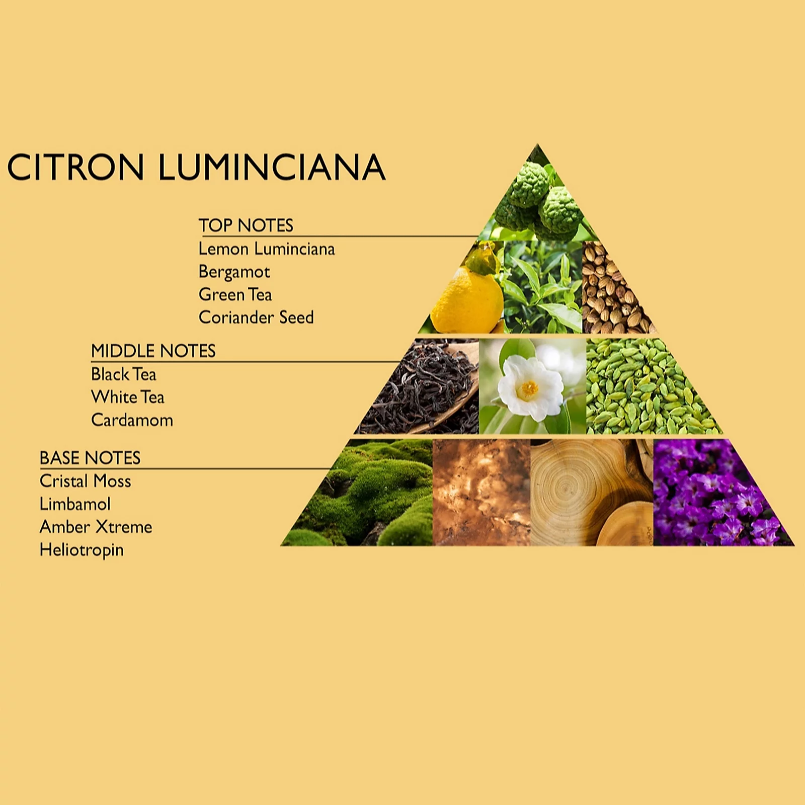 L'occitane 4 piece almond luminciana collection L'occitane 4 piece almond luminciana collection - image 4