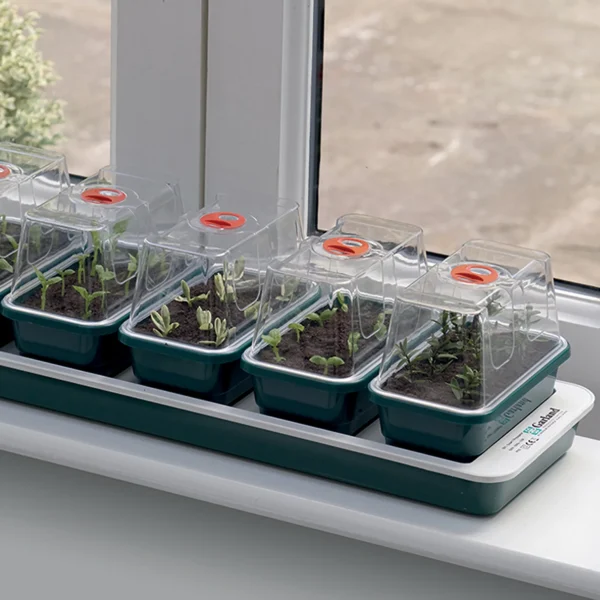 Garland products ltd super 7 propagator - image 3