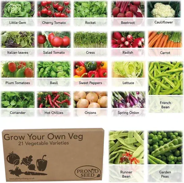 Pronto seed vegetable bumper pack - 21 varieties, over 1700 seeds