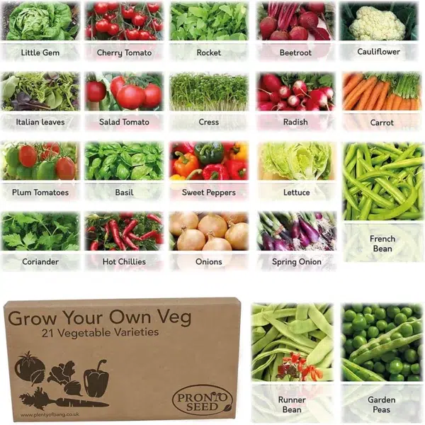Pronto Seed Vegetable Bumper Pack - 21 Varieties, Over 1700 Seeds