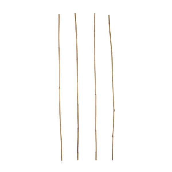 Verve Bamboo Cane 120cm, Pack of 20