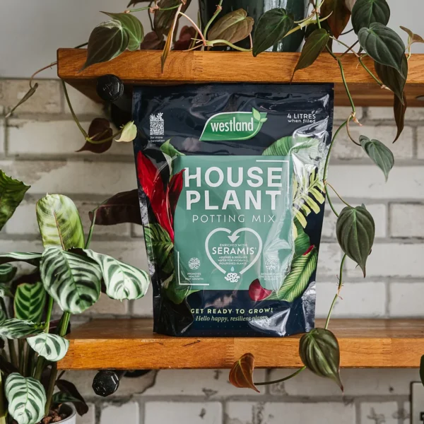 Westland peat-free houseplant compost, 4l - image 2