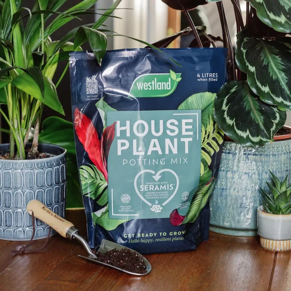 Westland peat-free houseplant compost, 4l - image 3