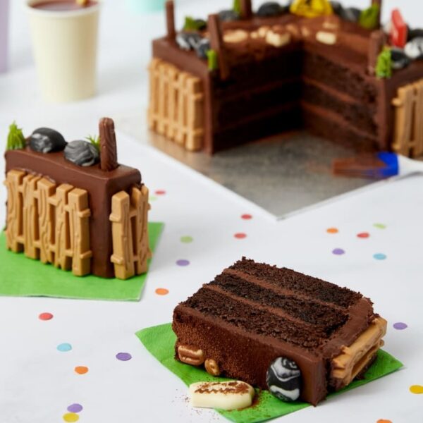 Find the fossil cake (serves 28) - image 3