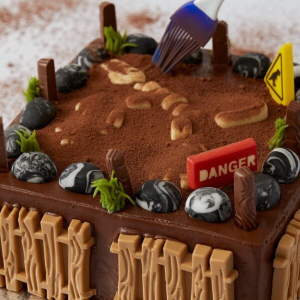 Find the fossil cake (serves 28) - image 4