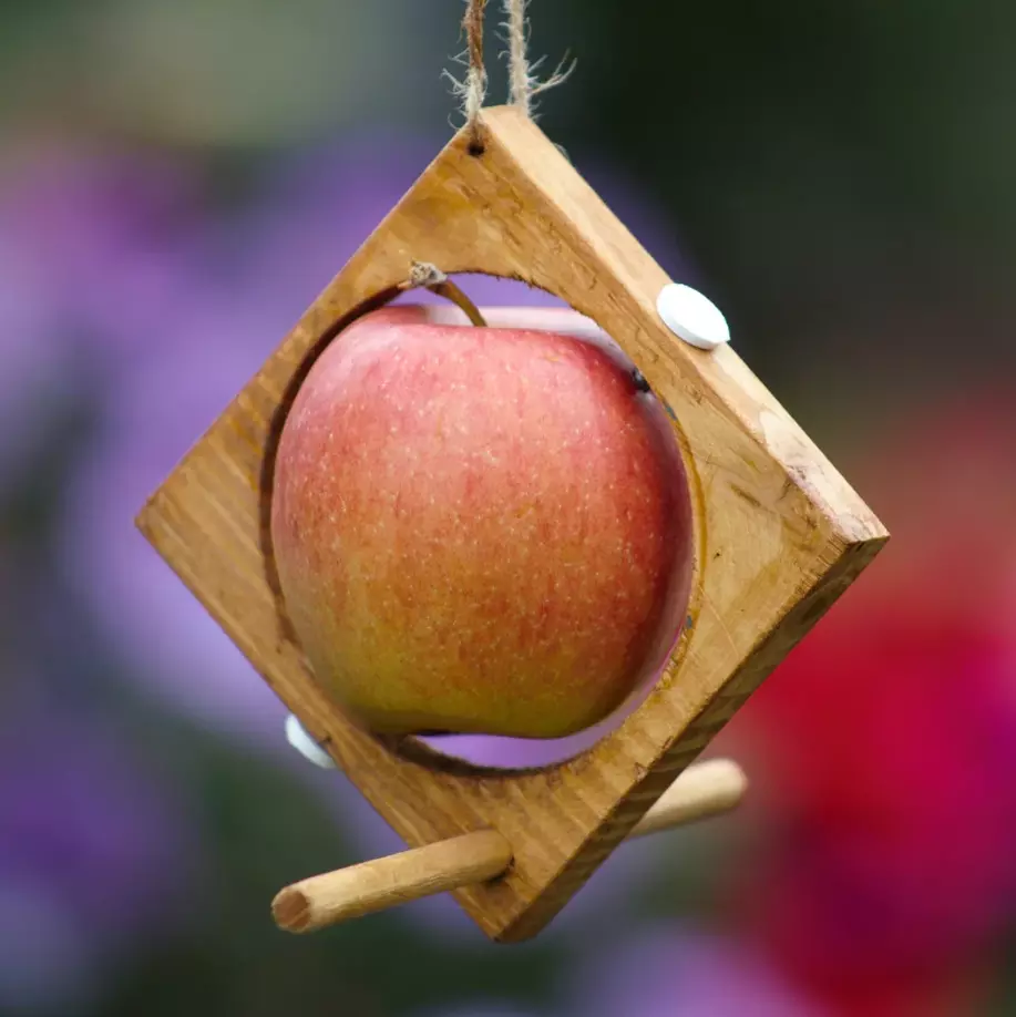 Hanging fruit handmade bird feeder Hanging fruit handmade bird feeder