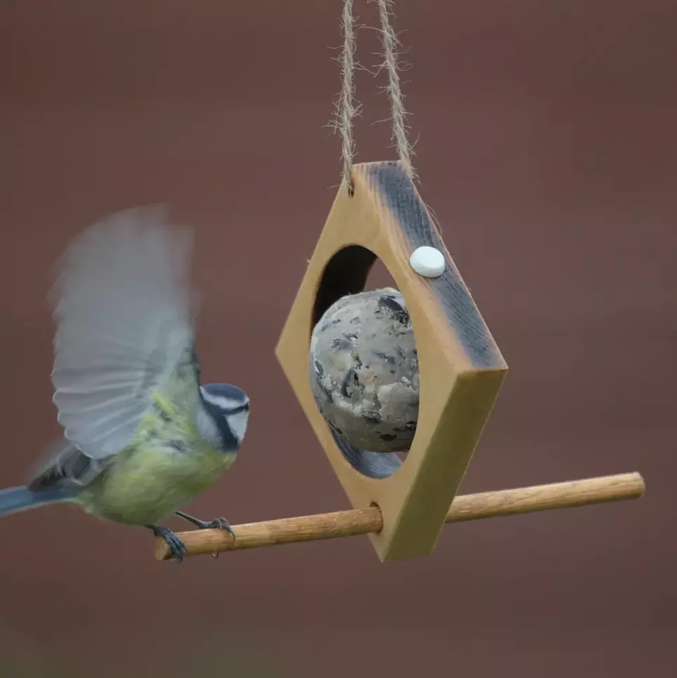 Hanging fruit handmade bird feeder Hanging fruit handmade bird feeder
