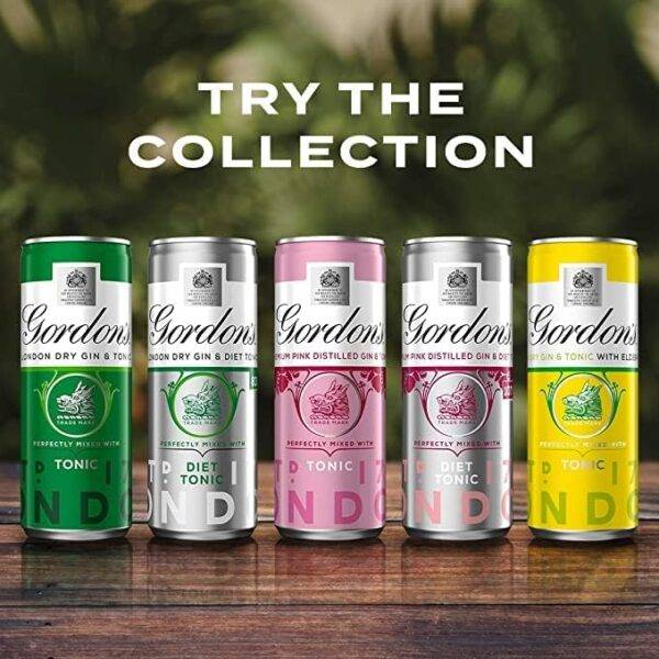 Gordon's premium pink distilled gin & tonic - image 2