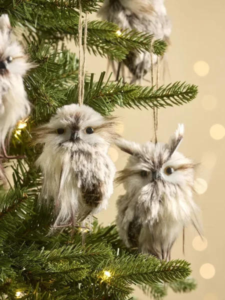 Four large feathered hanging owls