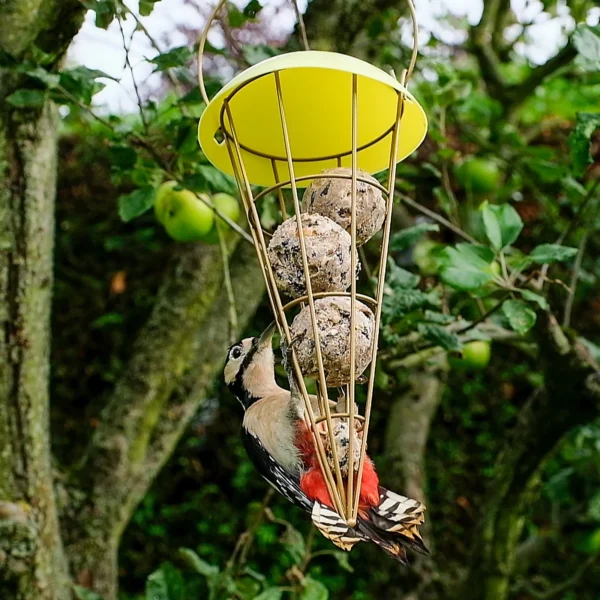 Grumpy gardener deluxe fatball box (50 pack)